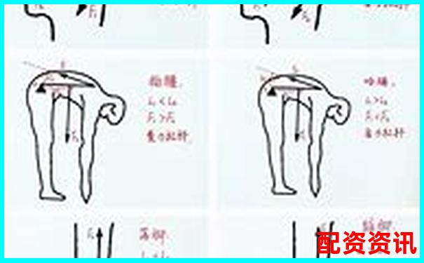 初二物理杠桿原理輕松學 30分鐘掌握關鍵知識點-3倍杠桿爆倉怎么算