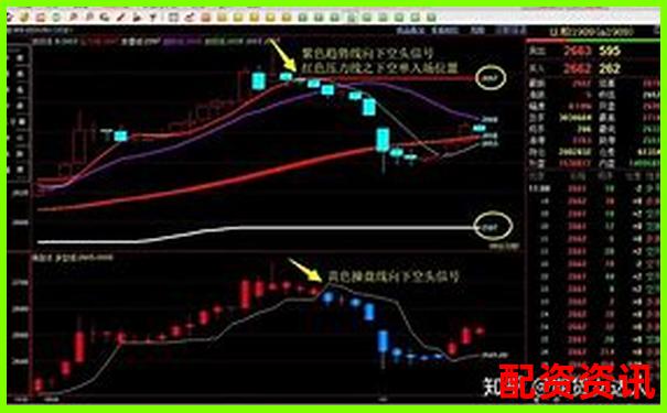 期權(quán)杠桿交易盈利秘訣多少倍最合適-股票最多可以幾倍杠桿交易