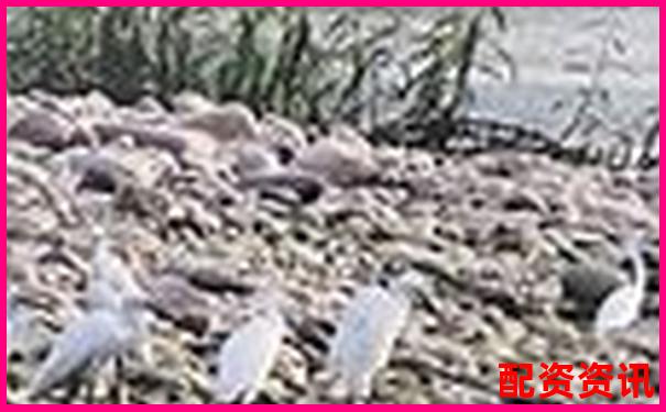 10倍杠桿配資聚焦佰朔資本注冊地深度解析-股票配資官網入口網址