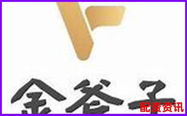 金斧子股票配資電話是多少 如何快速聯系客服咨詢-期權中的杠桿是什么意思