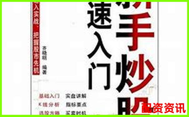 杠桿炒股實戰指南 從入門到精通的操盤技巧-股票配資論壇網站有哪些