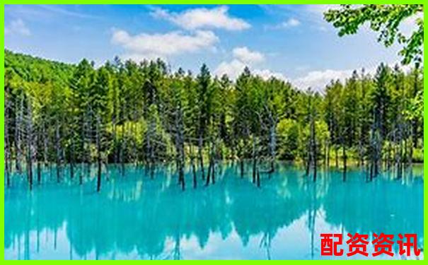 國內(nèi)配資APP排行榜Top10盤點(diǎn)，實(shí)測(cè)評(píng)分出爐