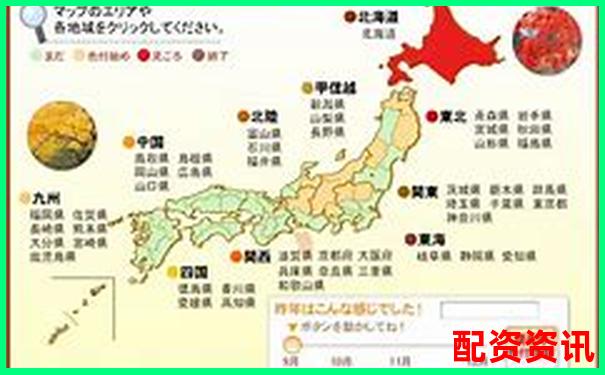 全國十大線上配資平臺排行榜大起底