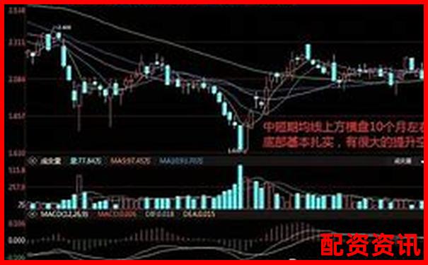 香港股票配資平臺排行榜（含大陸用戶支持情況）
