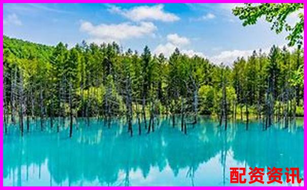 國內十大配資平臺排行榜評分表（2025最新版）-湯臣倍健股票最新消息