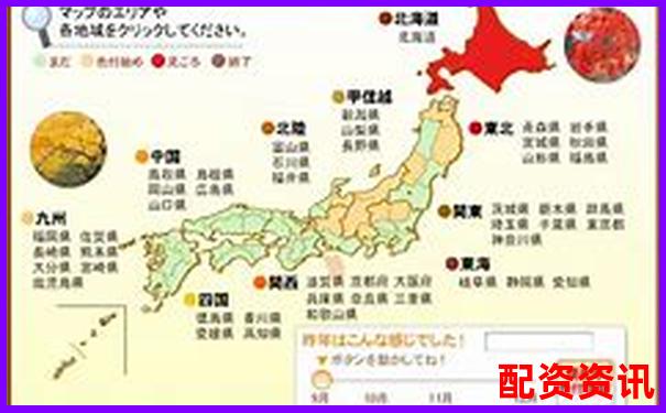 全國十大配資公司排行榜，哪家更適合小額用戶？-2024年業績預增10倍以上的股票